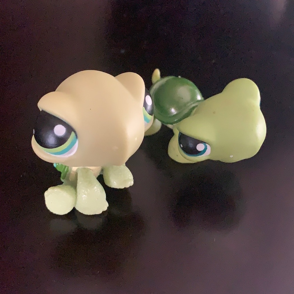 TURTLE BUNDLE🐢✨
